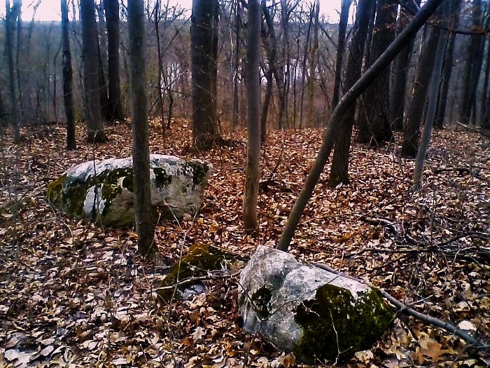 Michigan Road Preserve